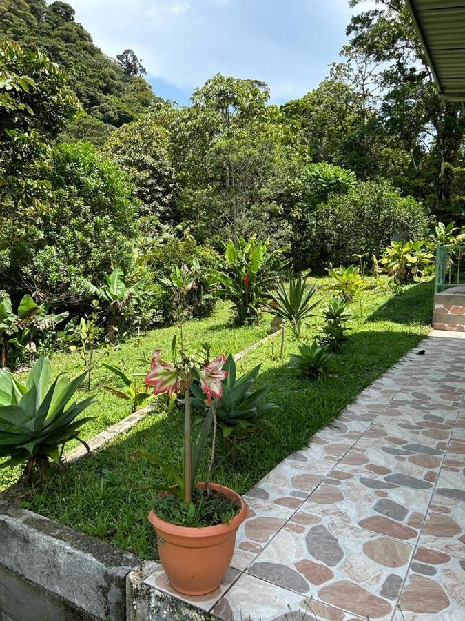 Selvatica Del Toro Bajos del Toro Exterior foto