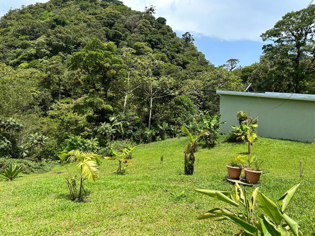 Selvatica Del Toro Bajos del Toro Exterior foto