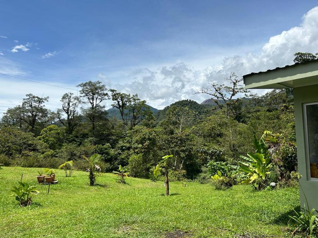 Selvatica Del Toro Bajos del Toro Exterior foto