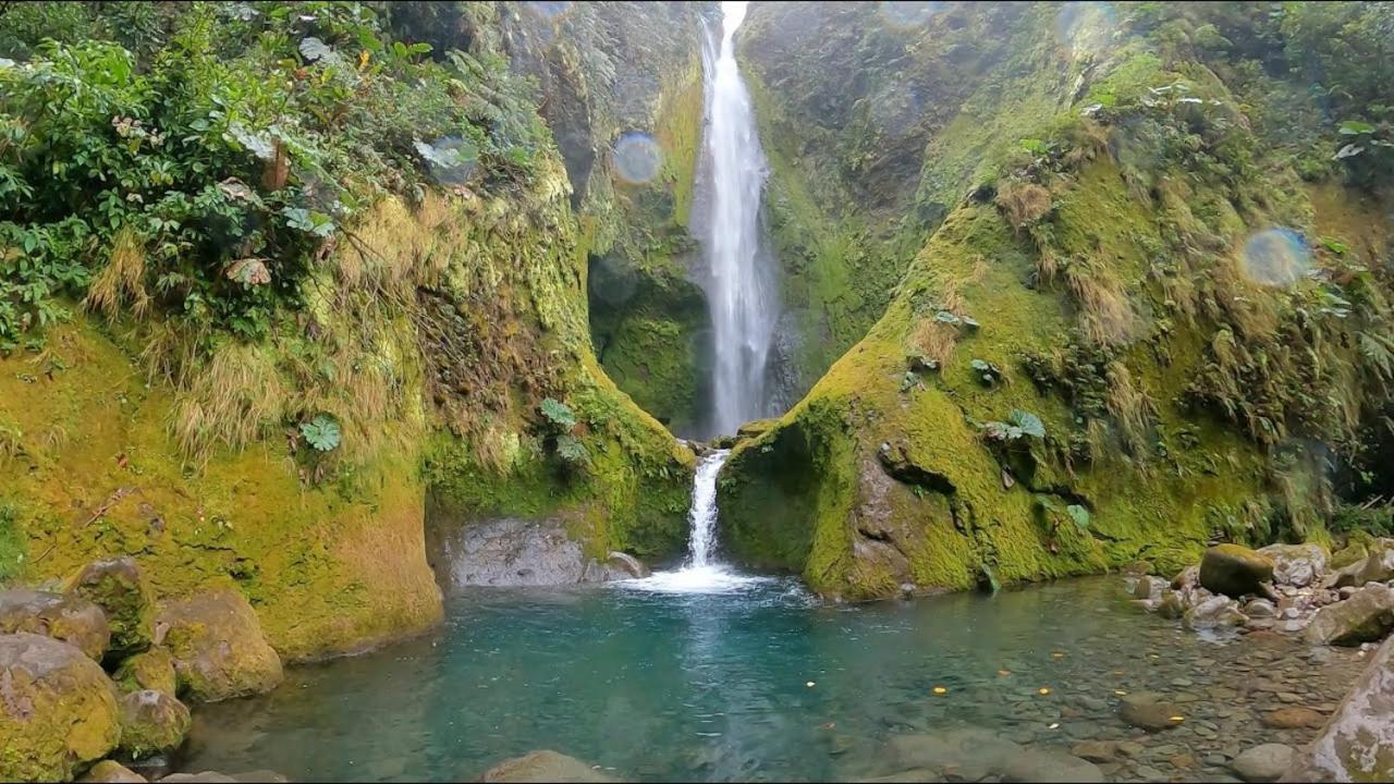 Selvatica Del Toro Bajos del Toro Exterior foto