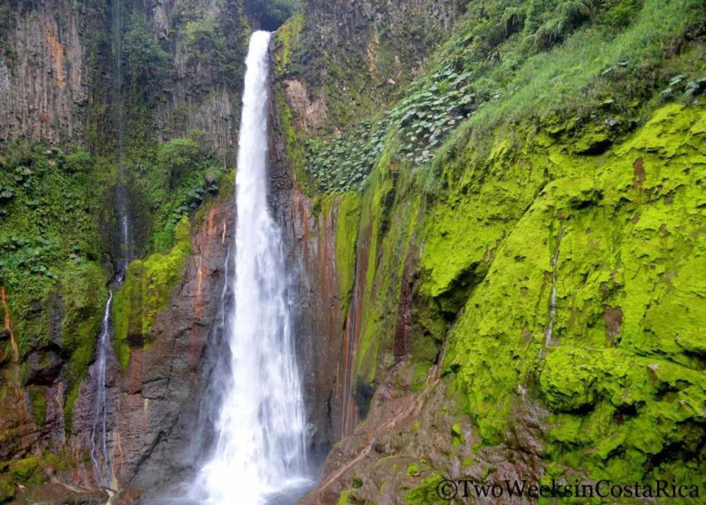 Selvatica Del Toro Bajos del Toro Exterior foto
