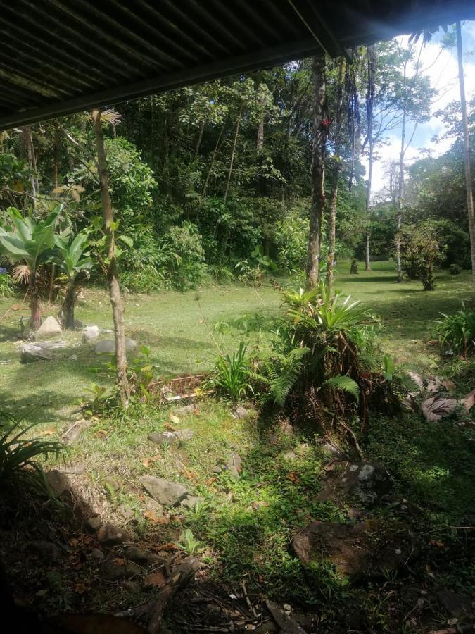 Selvatica Del Toro Bajos del Toro Exterior foto