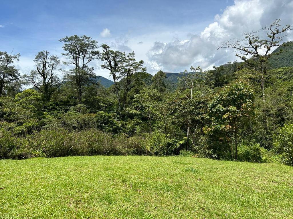 Selvatica Del Toro Bajos del Toro Exterior foto