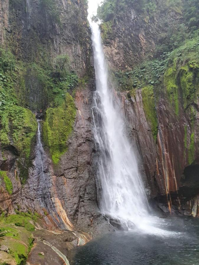 Selvatica Del Toro Bajos del Toro Exterior foto